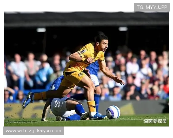 法甲激烈拼搏,精彩瞬间点燃现场气氛,法甲情况