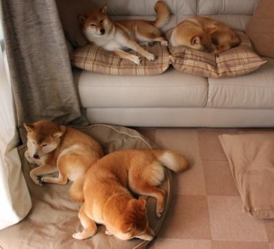 西甲球队利用机器学习预测对手战术变化案例,西甲机器人