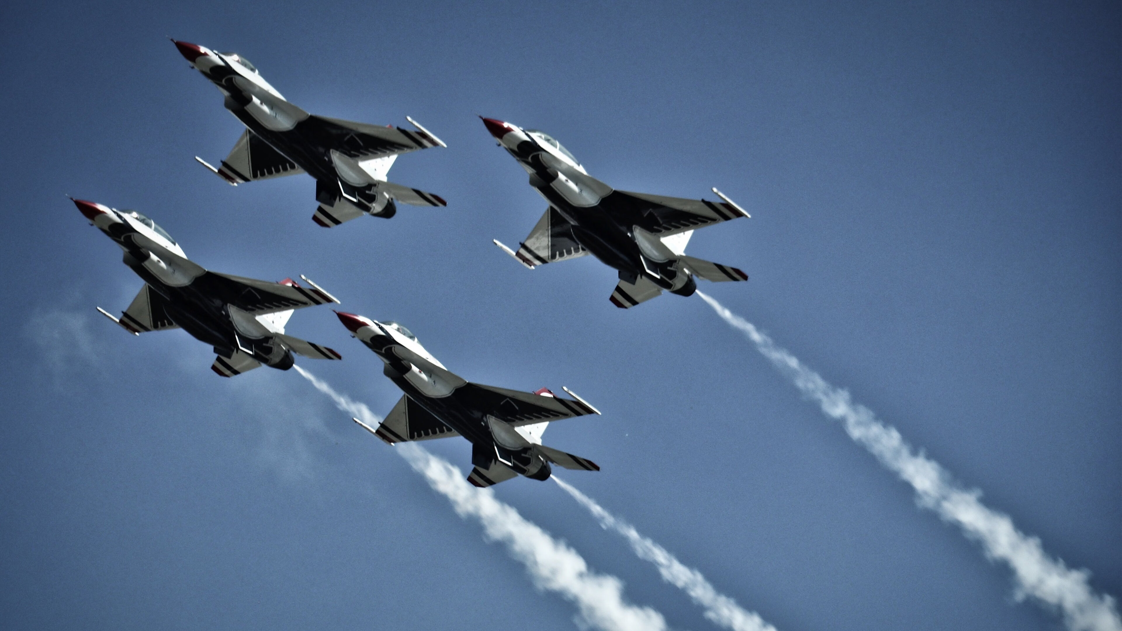 Palmer表现稳健,有望入选国家队