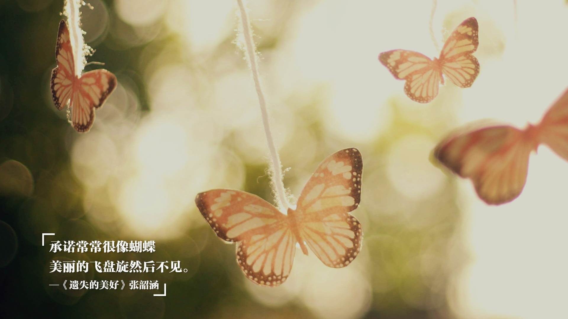 “新都福乐球赛:速度、力量与技术的完美碰撞”