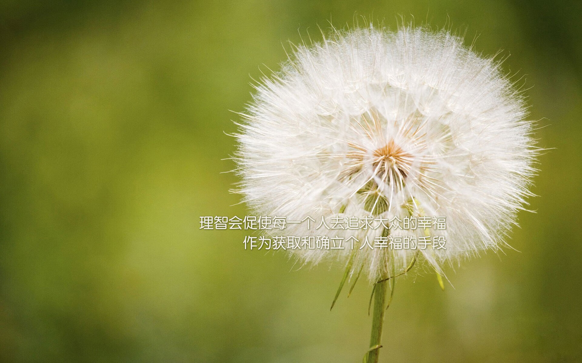 体育新闻中心完成数字内容系统升级,体育新闻资讯