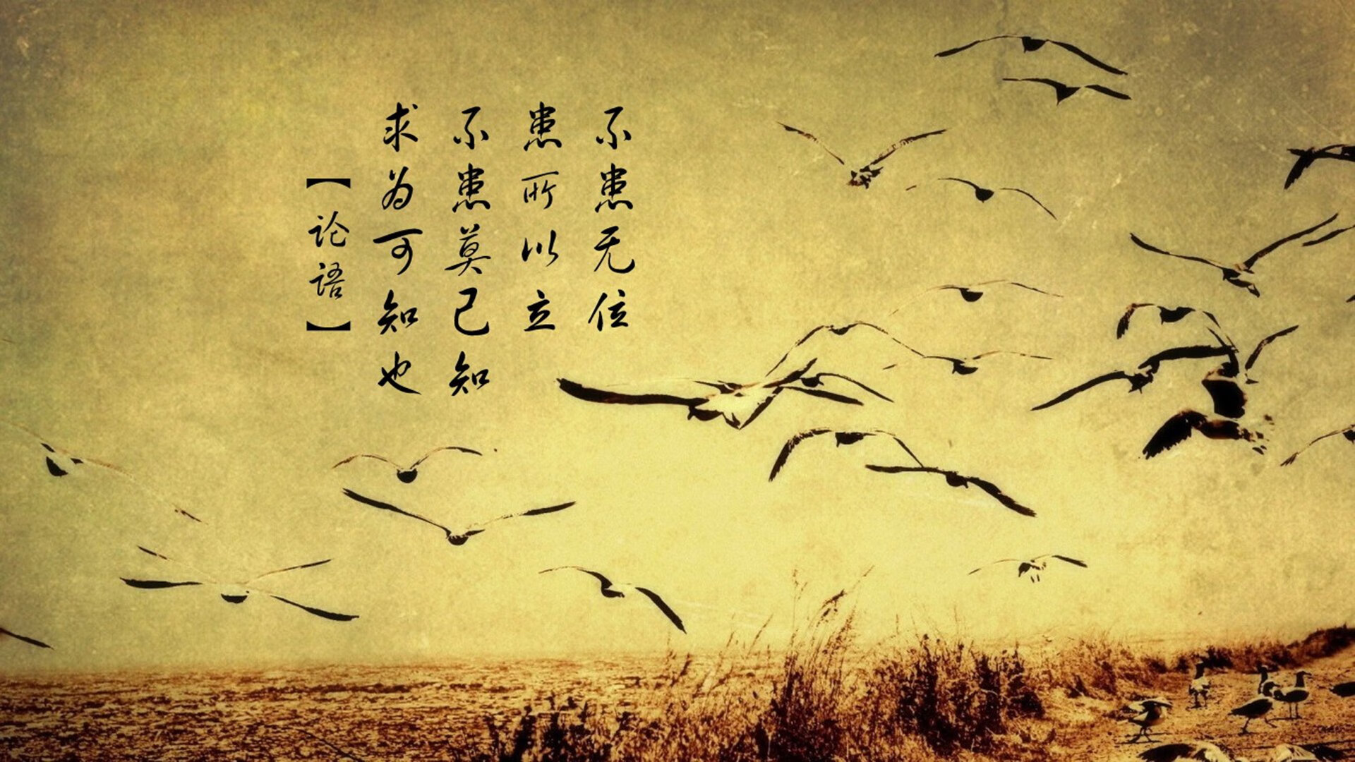 开云体育app在线-皇马压迫反击配合默契致命，皇马反击视频