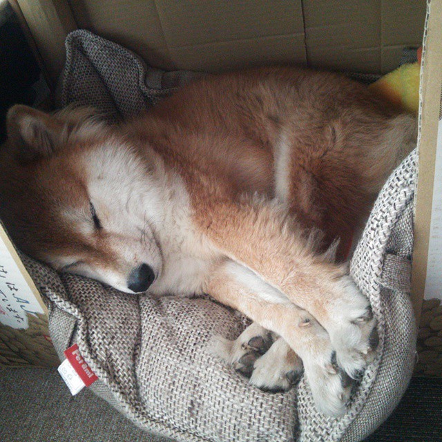 职业联赛传播渠道是否跟上新媒体节奏,职业联赛是谁举办的