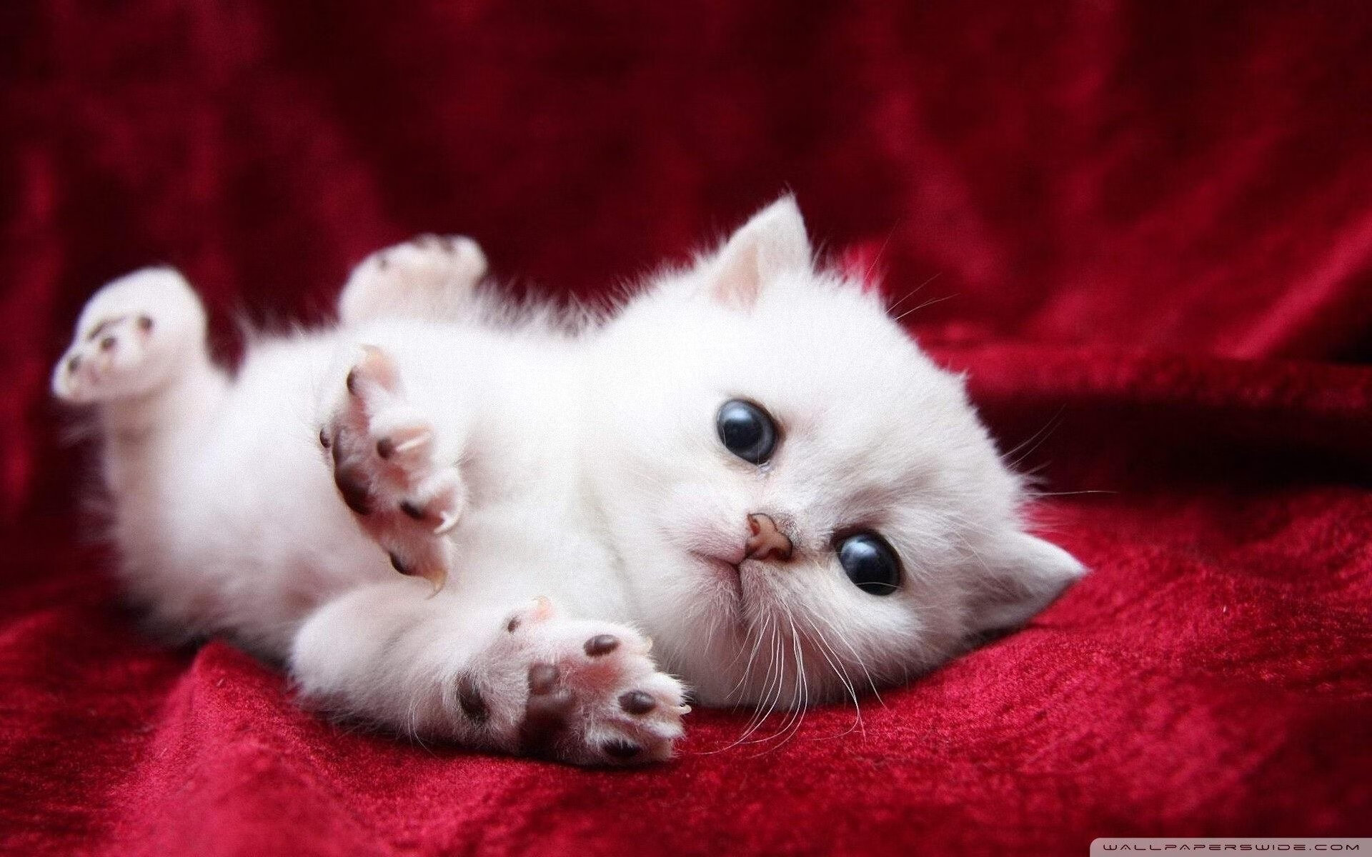 开云体育链接-里昂锋线穿插牵制防线形成进攻空间，里昂路线