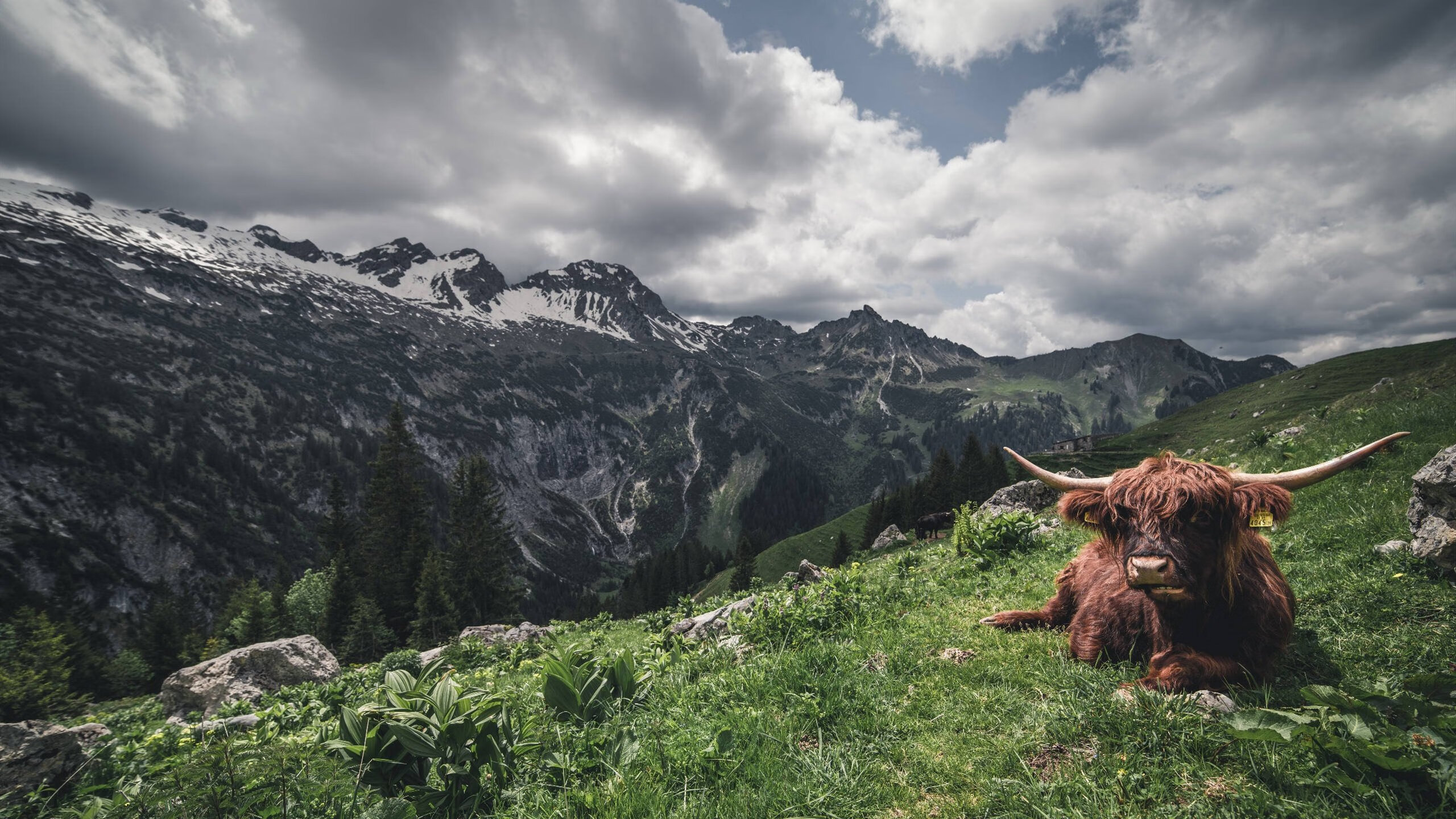 开云体育官网下载-“南非羚羊队的宝贵资产：诺克·达维德·彼得森的非凡天赋”
