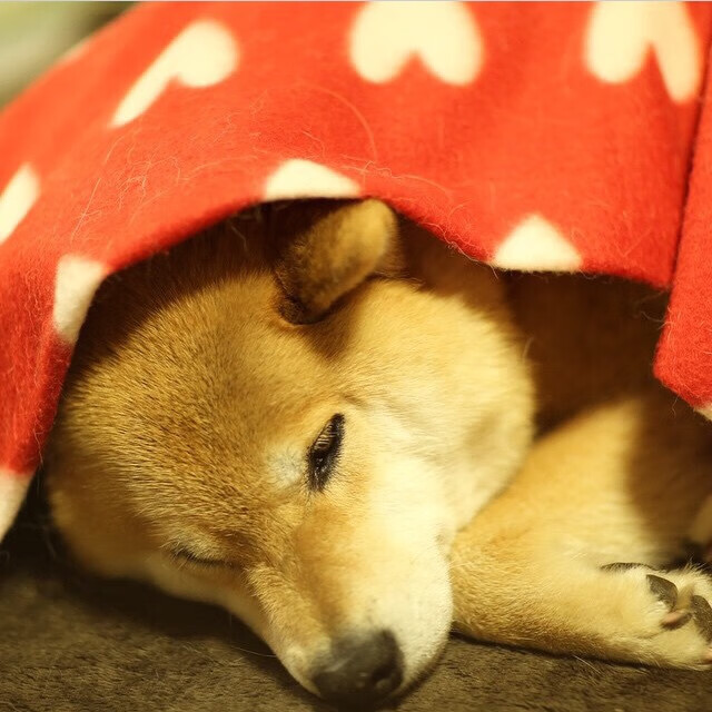 主教练在战术布置中强调边路传中质量需明显提升，主教练技术犯规是什么