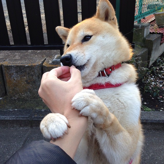 开云体育链接-库里在训练中加强身体对抗备战季后赛，库里训练有多刻苦