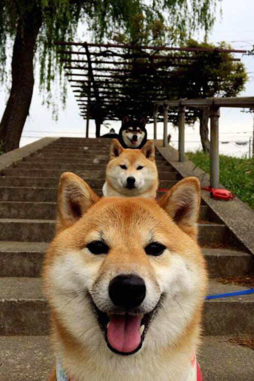 德甲精彩场面:攻防瞬间,激情无限!,德甲 打架