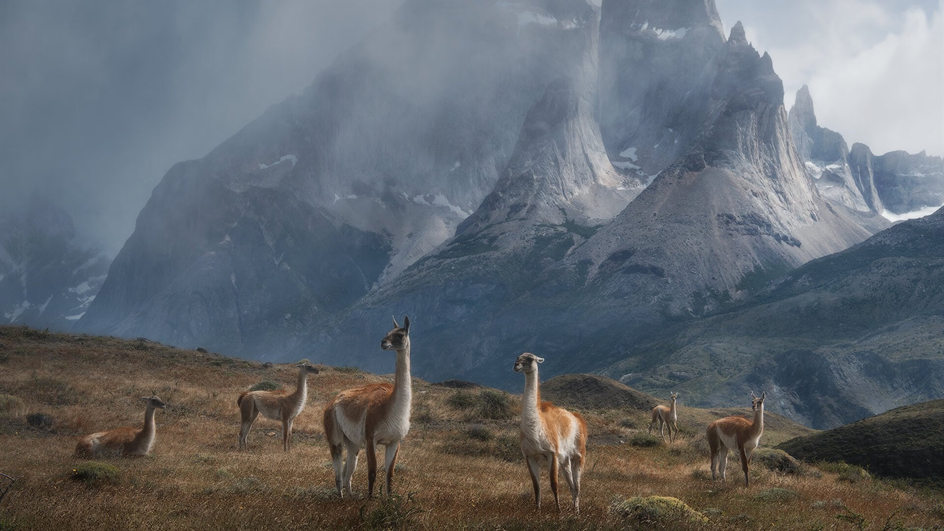 开yun官网-意甲快速反击：一瞬间撕裂对方防线，意甲6.2秒
