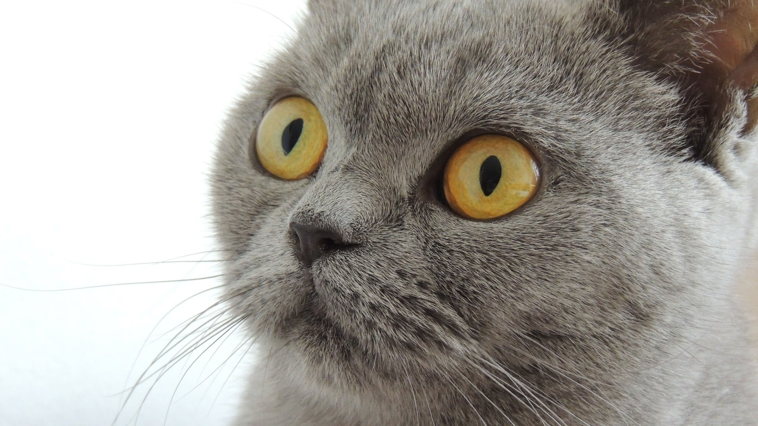 技术雷达图揭示动作动作执行一致性提升,技术雷达什么意思